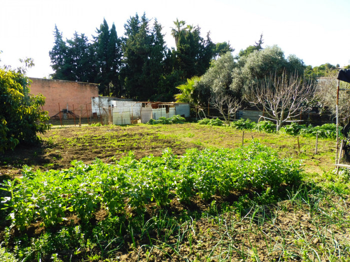 Qlistings House - Finca in Marbella, Costa del Sol image 5